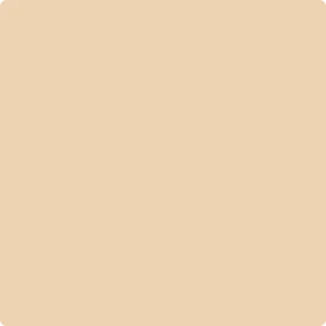 1108 Chamois