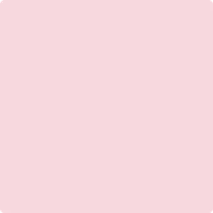 1352 Pink Dynasty