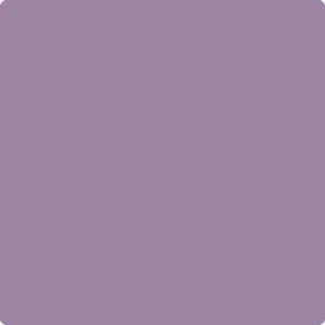 1384 Carolina Plum