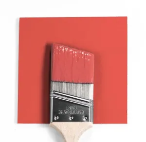 2009-30 Dark Salmon