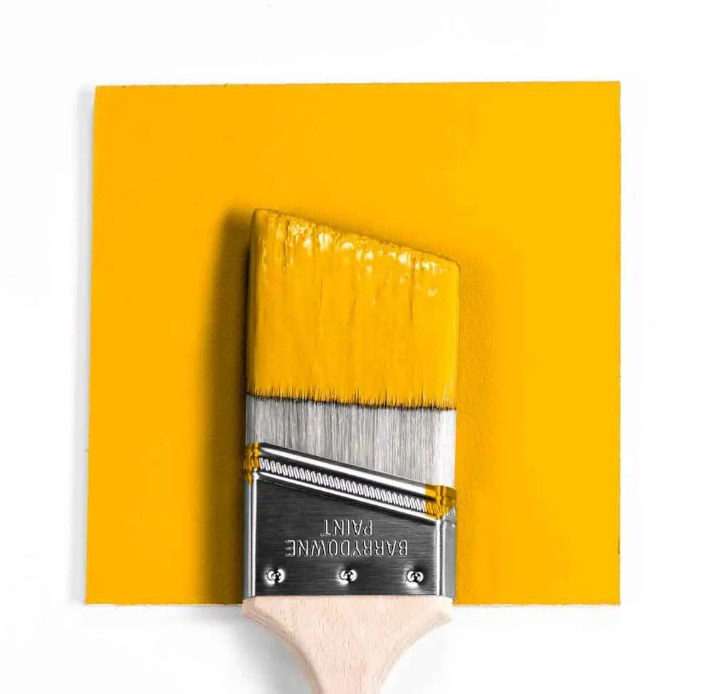 2021-10 Yellow Flash