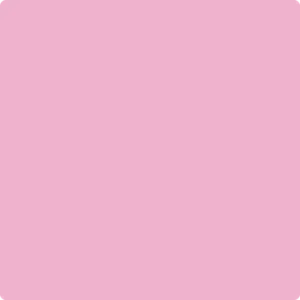 2078-50 Pink Begonia