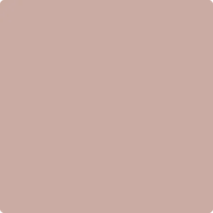 2101-50 Allspice