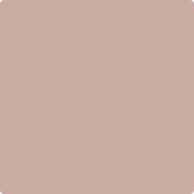 2101-50 Allspice