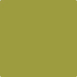 2146-20 Forest Moss