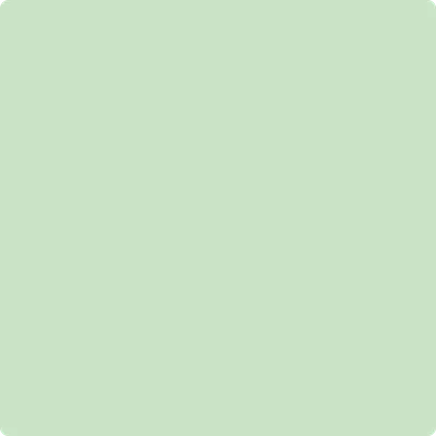 561 Pistachio