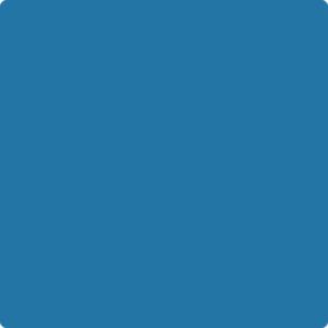 784 Blue Macaw