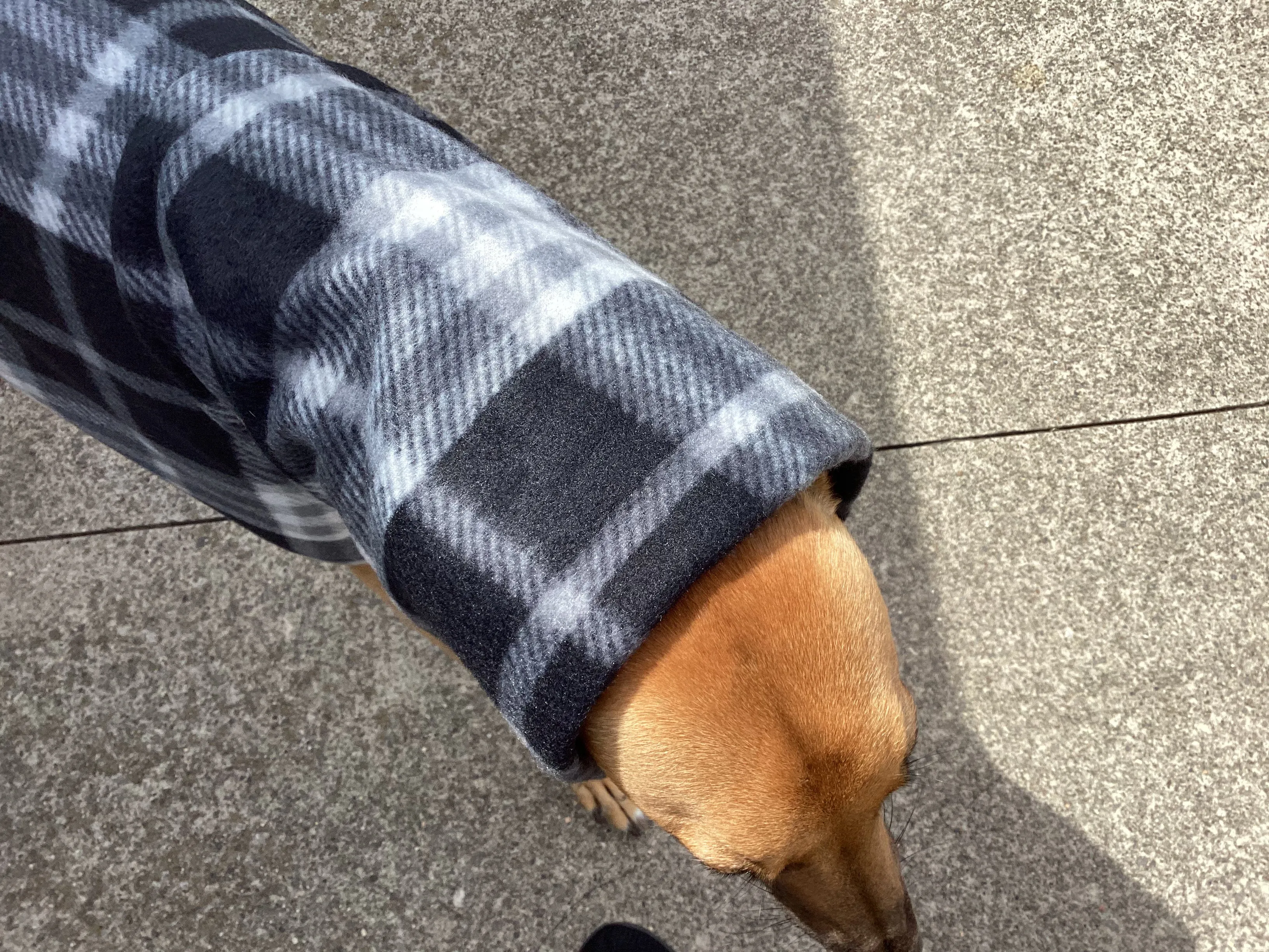 Black and grey check tartan winter deluxe style greyhound coat in double fleece with extra wide neck roll