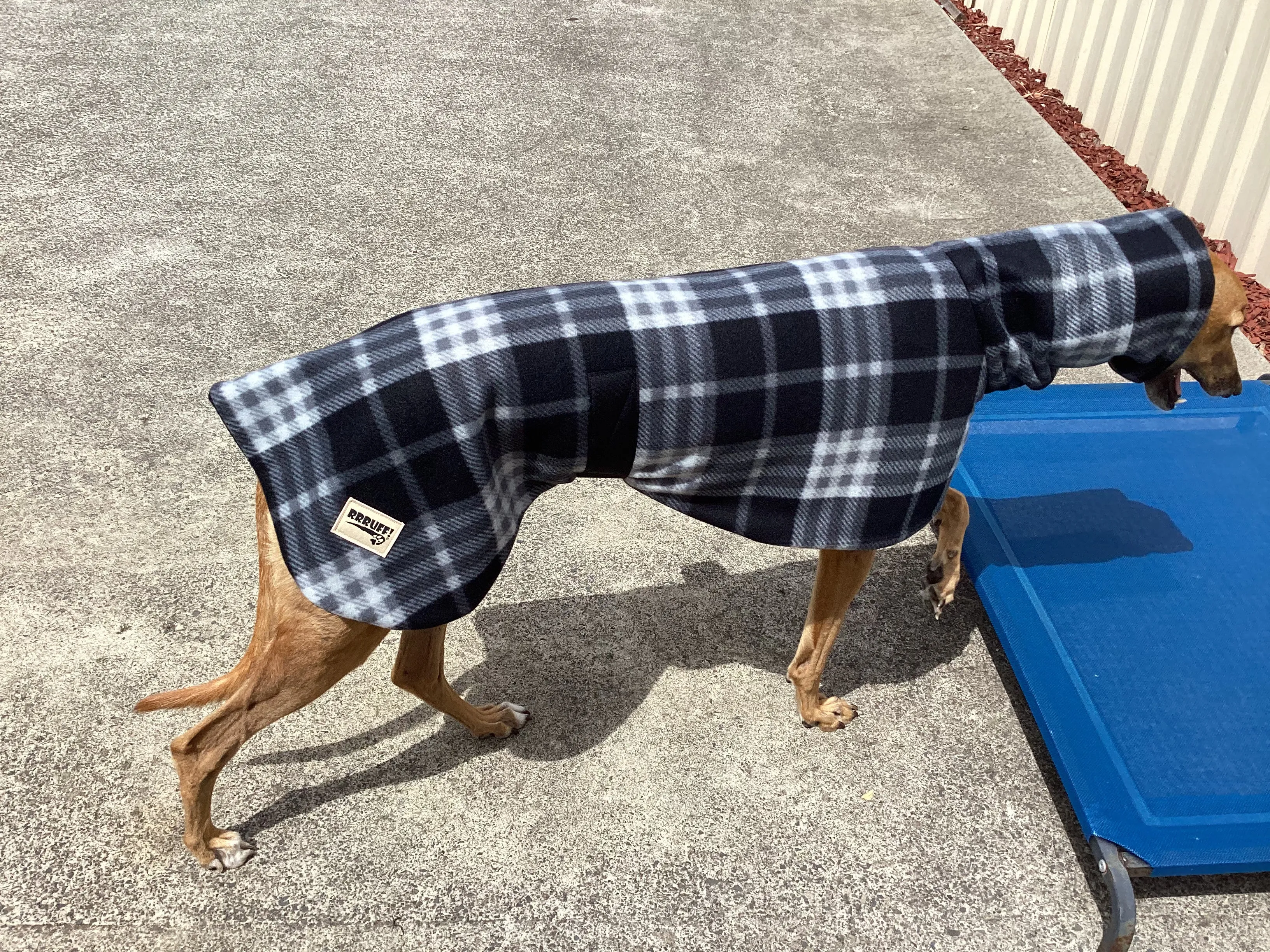 Black and grey check tartan winter deluxe style greyhound coat in double fleece with extra wide neck roll