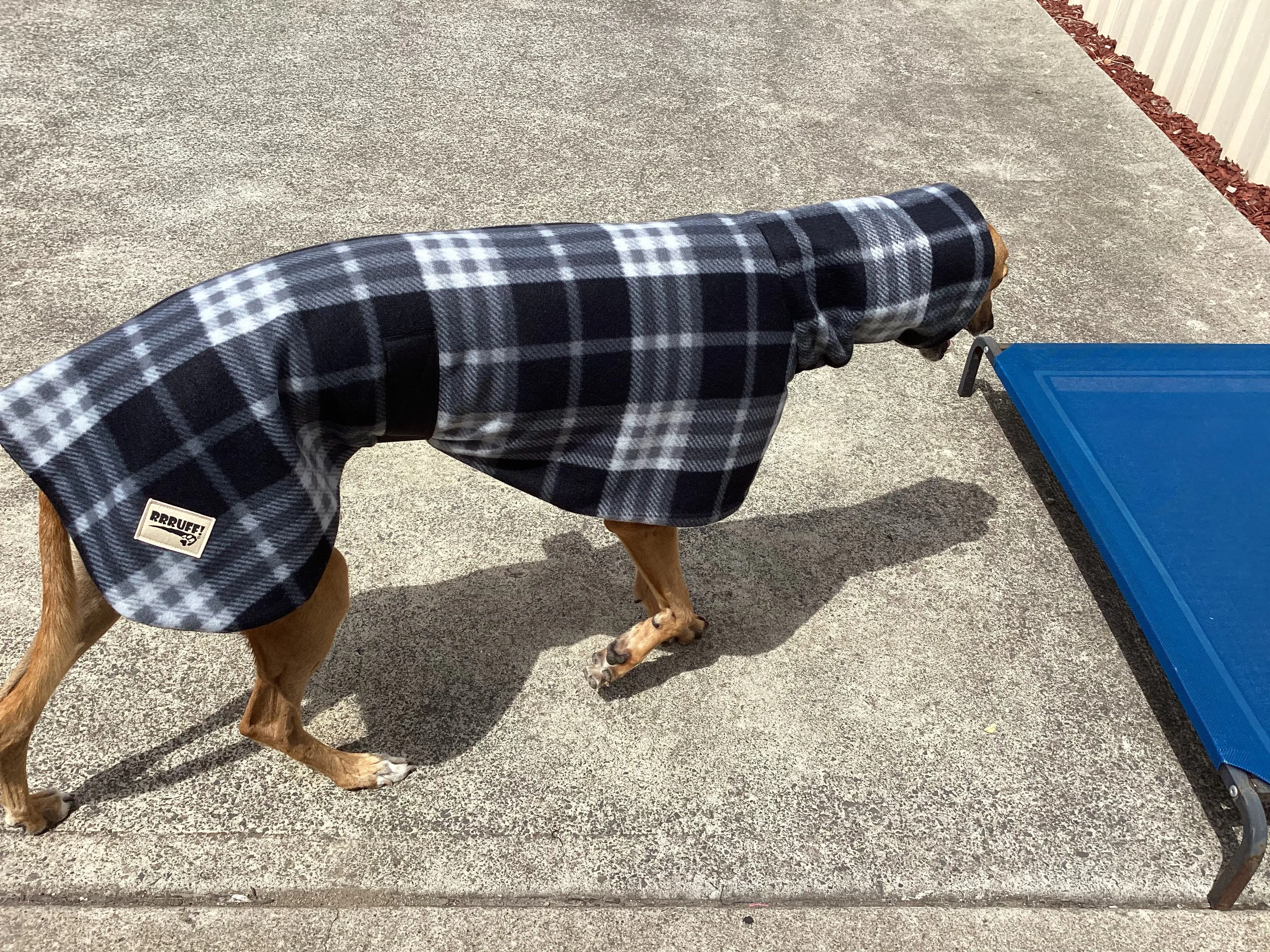 Black and grey check tartan winter deluxe style greyhound coat in double fleece with extra wide neck roll