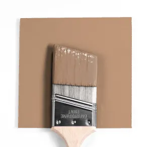 CC-486 Tiramisu
