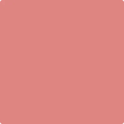 CSP-1175 Pink Flamingo