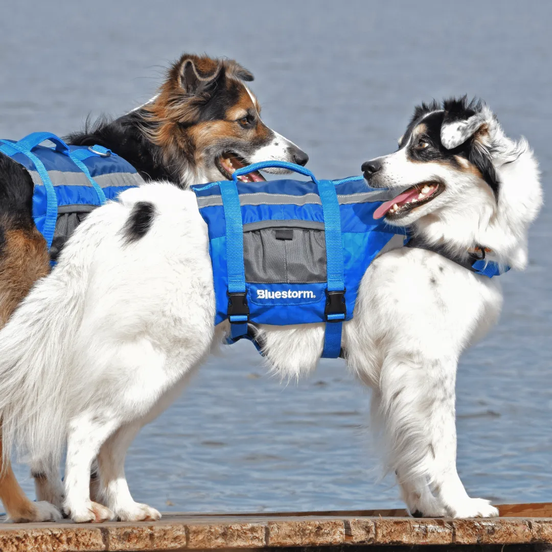 Dog Paddler
