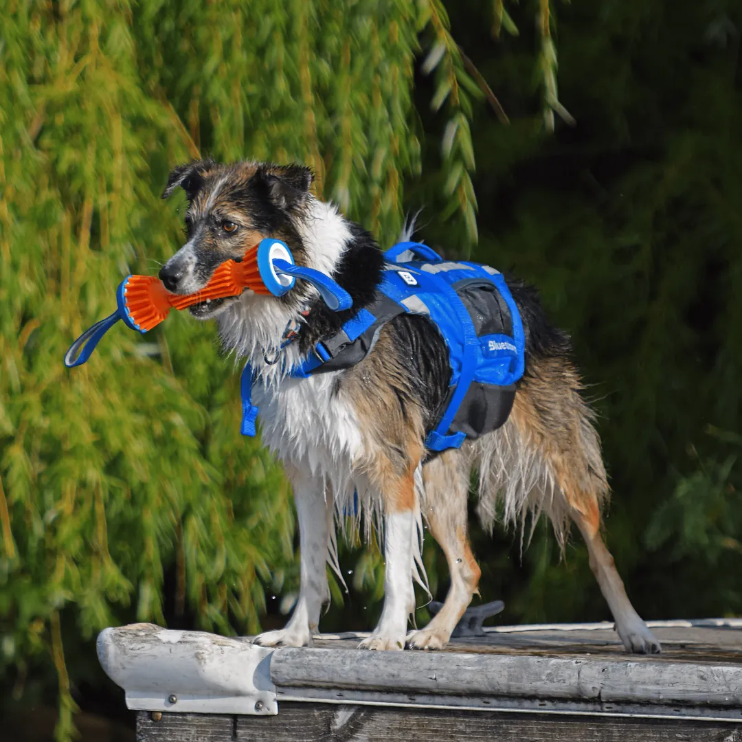 Dog Paddler