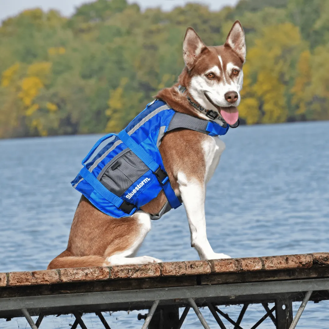 Dog Paddler