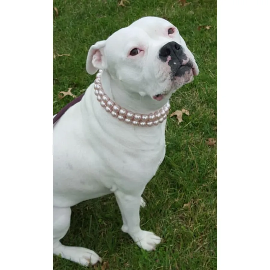 Double Strand Chunky Pink Pearl Collar