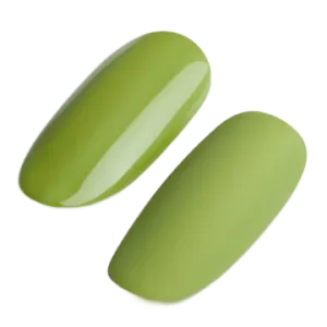 Gel Polish 302