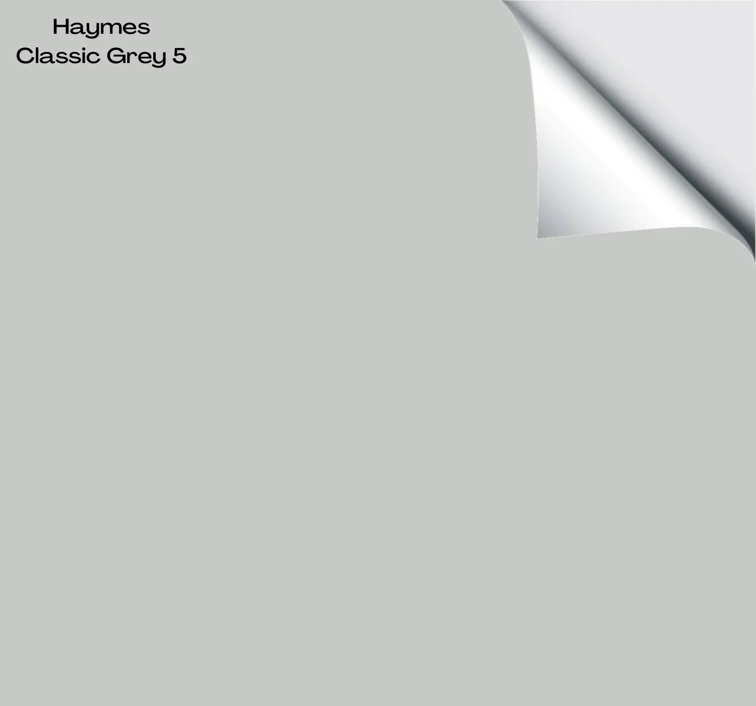 Haymes Classic Grey 5