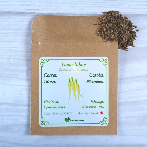 Lunar White Carrot Seeds