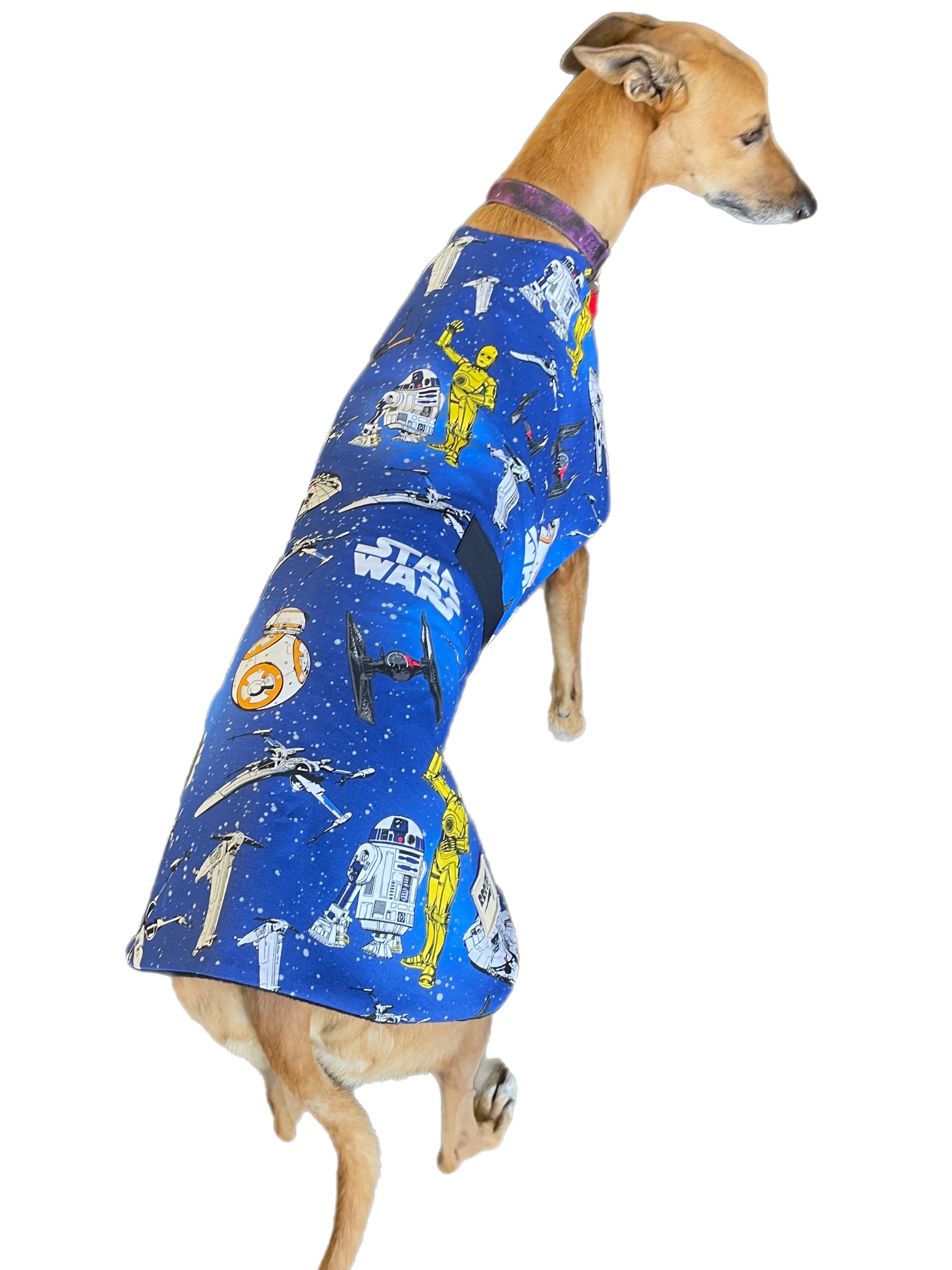 Star Wars Spring classic style Greyhound coat design in a sturdy cotton & fleece washable