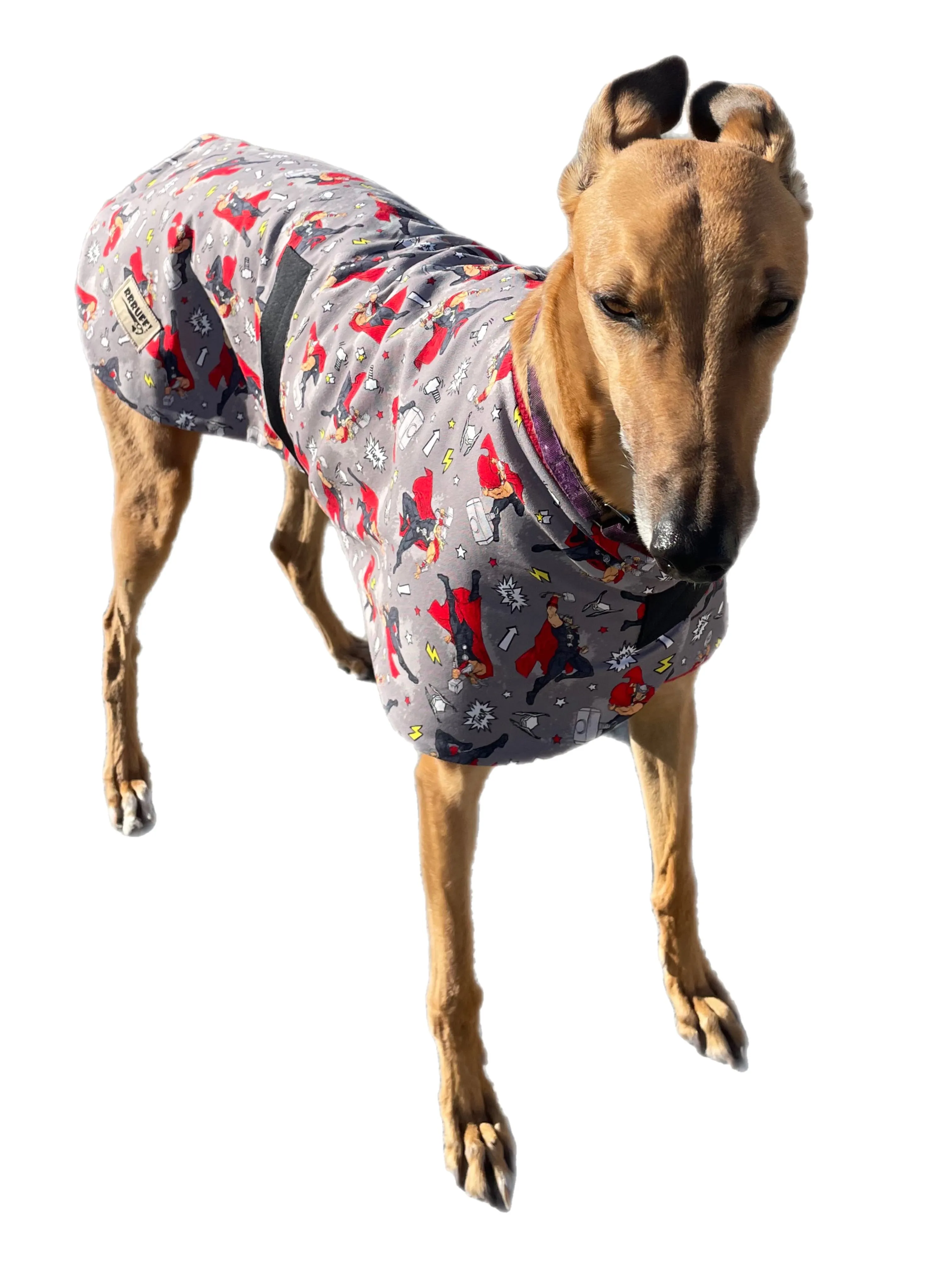 Thor Spring classic style Greyhound coat design in a sturdy cotton & lush fleece washable clearance