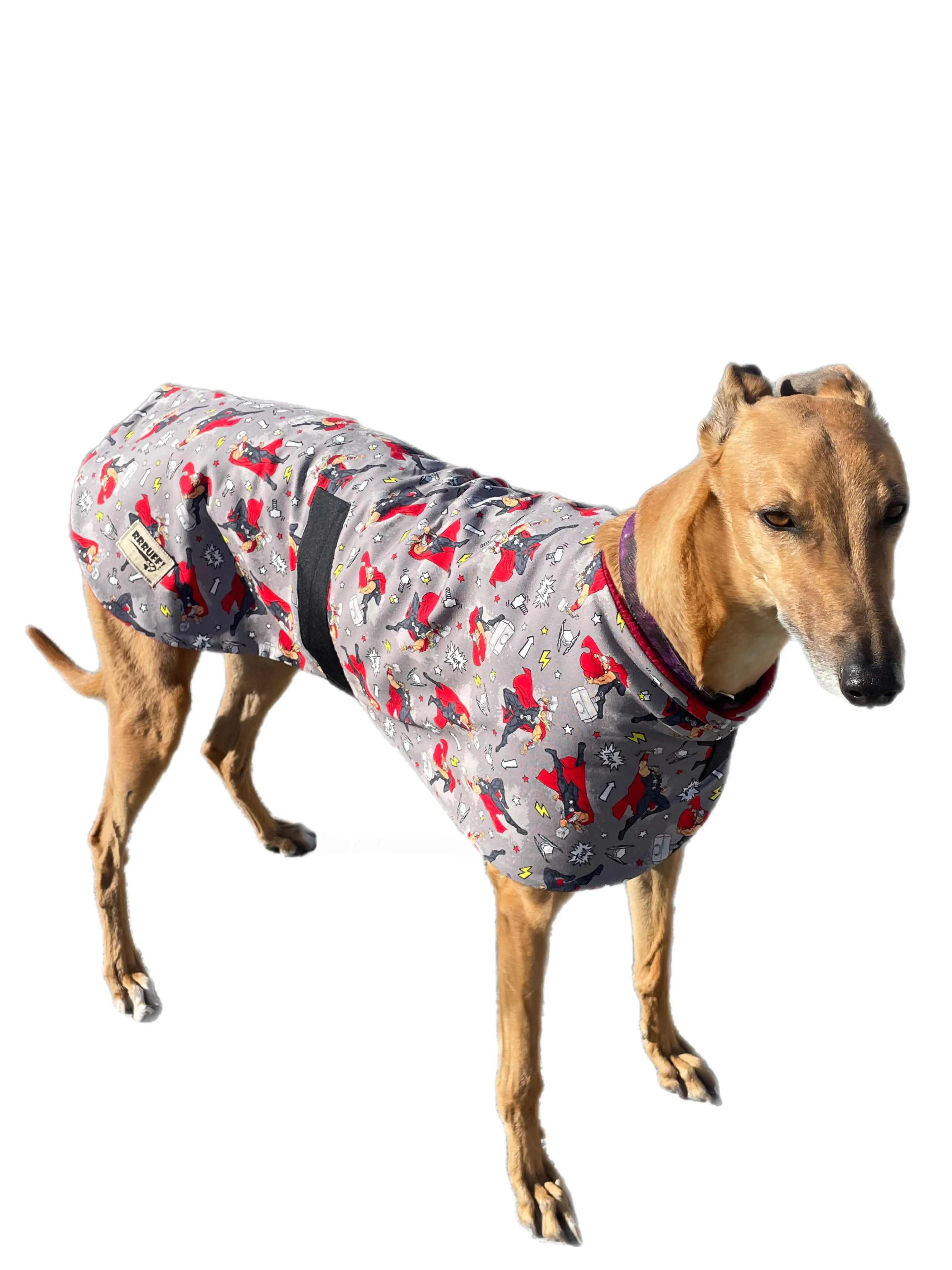 Thor Spring classic style Greyhound coat design in a sturdy cotton & lush fleece washable clearance